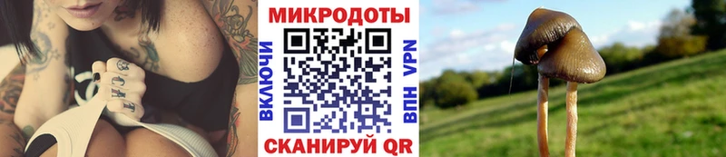 наркошоп  Красково  Галлюциногенные грибы Magic Shrooms 